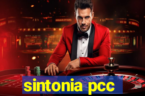 sintonia pcc